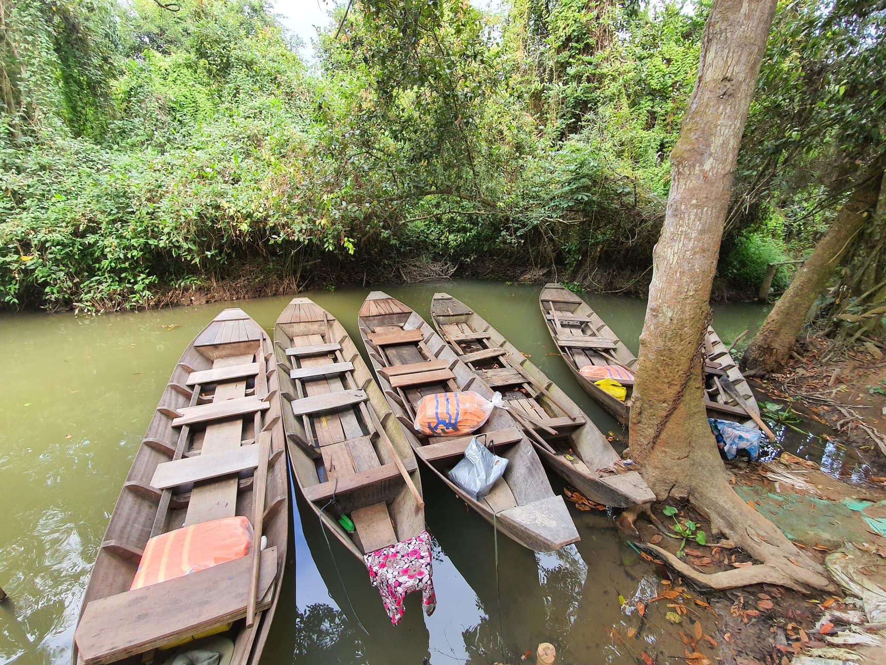 Experience Dong Thap Tours with sustainable adventures